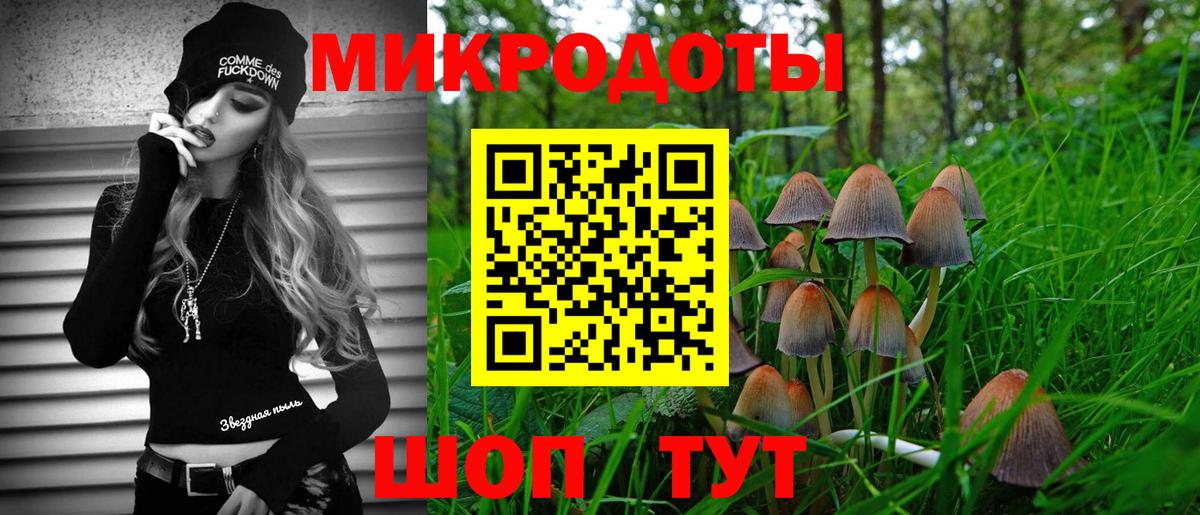 Галлюциногенные грибы MAGIC MUSHROOMS  Вход с VPN  Фурманов 