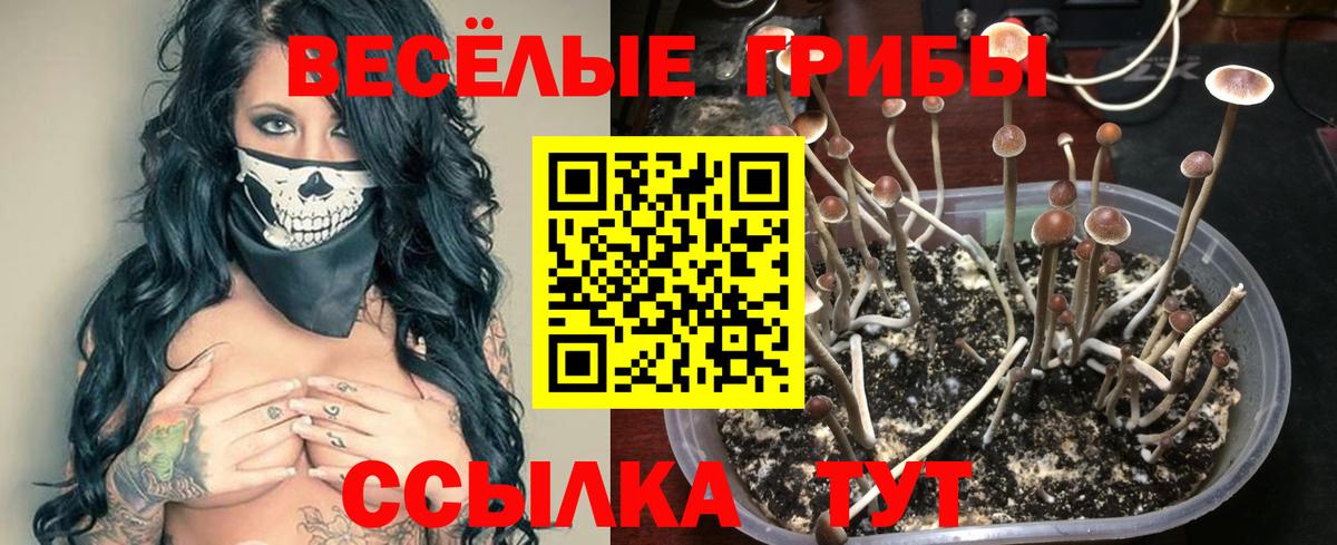Галлюциногенные грибы Cubensis Фурманов