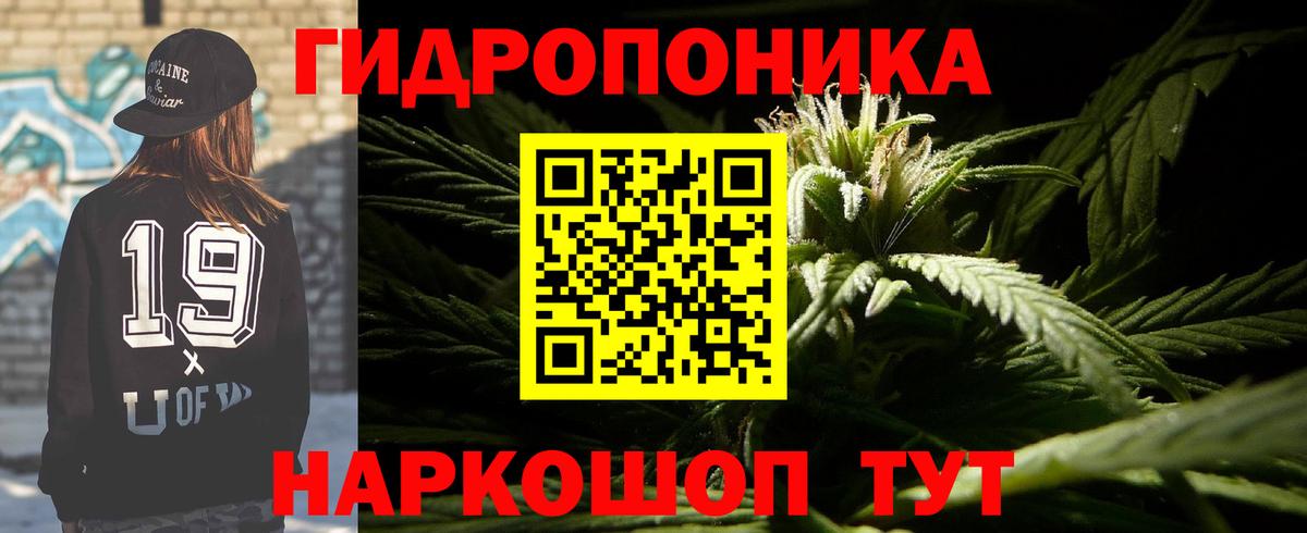 Фурманов  Канабис White Widow  Шишки марихуана планчик  Вход с VPN  Бошки марихуана план 